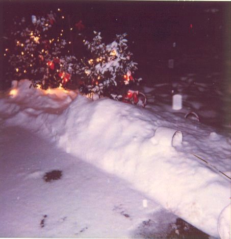 porchsnow.jpg (34939 bytes)